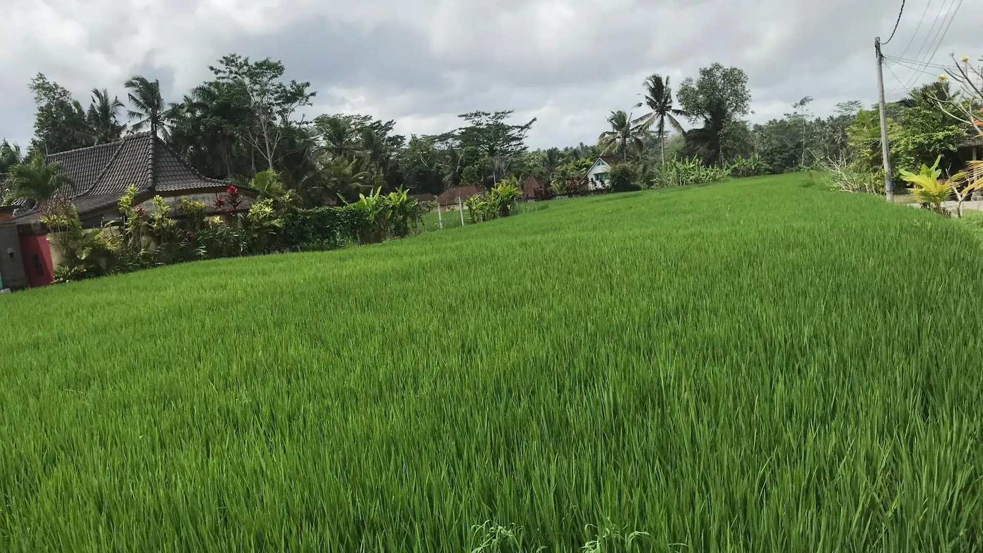 Mahasitta Villa Ubud  0*, Ubud (Bali) Indonesia